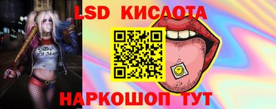 твердый Шадринск