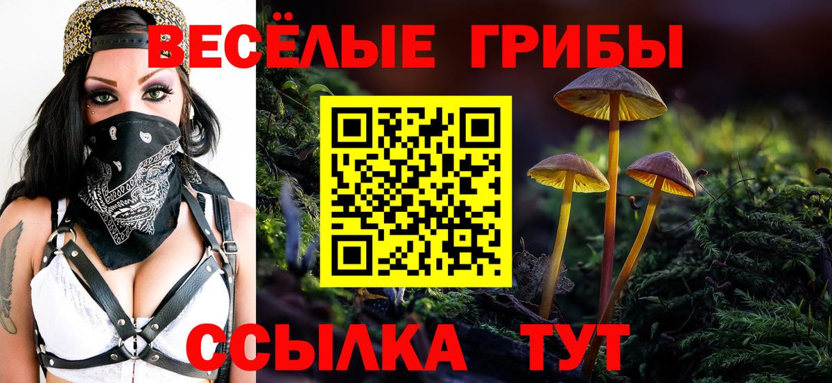 Псилоцибиновые грибы Psilocybe  как найти закладки  Галлюциногенные грибы Psilocybe  Калининград  Вход с VPN 