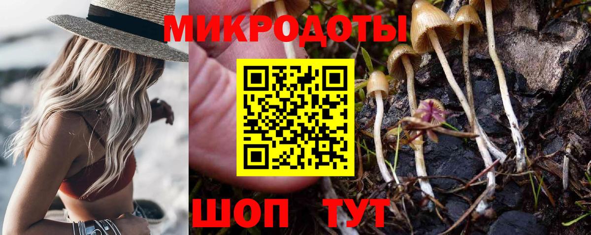 Псилоцибиновые грибы прущие грибы Калининград